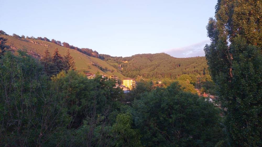 изображение whatsapp 2024-08-14 в 19.42.24_ad614821