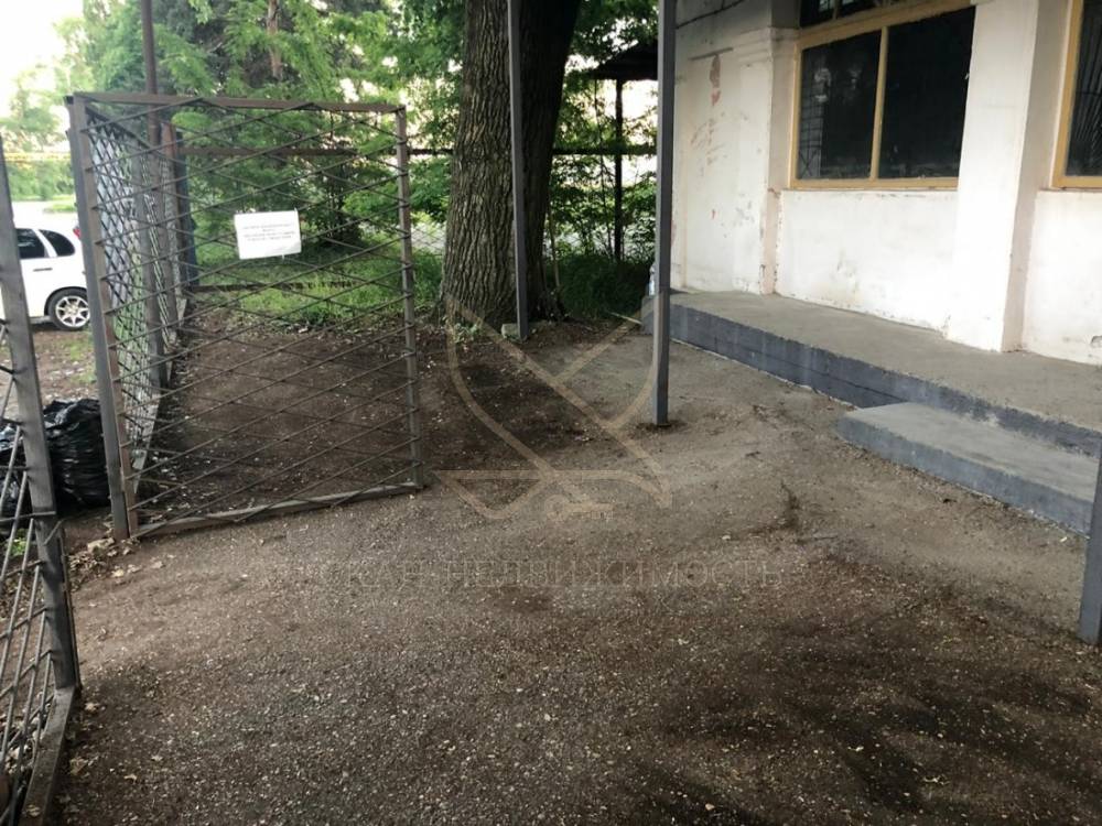 изображение whatsapp 2025-06-18 в 12.26.09_d9e1d7c8