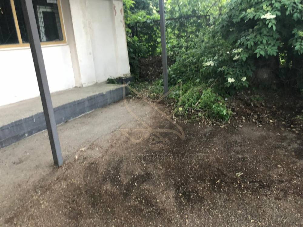 изображение whatsapp 2025-06-18 в 12.26.09_e275f619