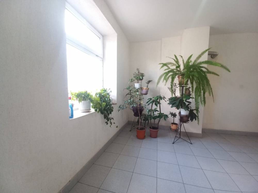 whatsapp image 2025-10-27 at 13.38.52 (2)