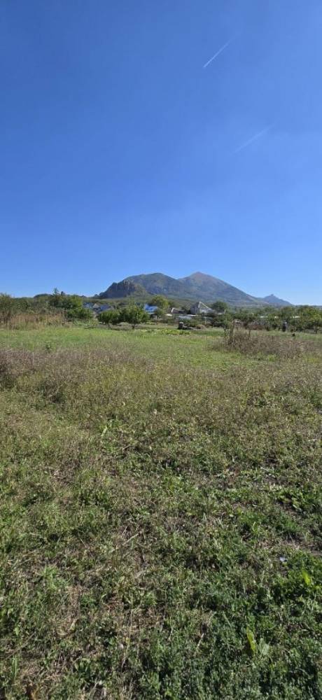 изображение whatsapp 2025-11-19 в 16.29.33_708aeb04