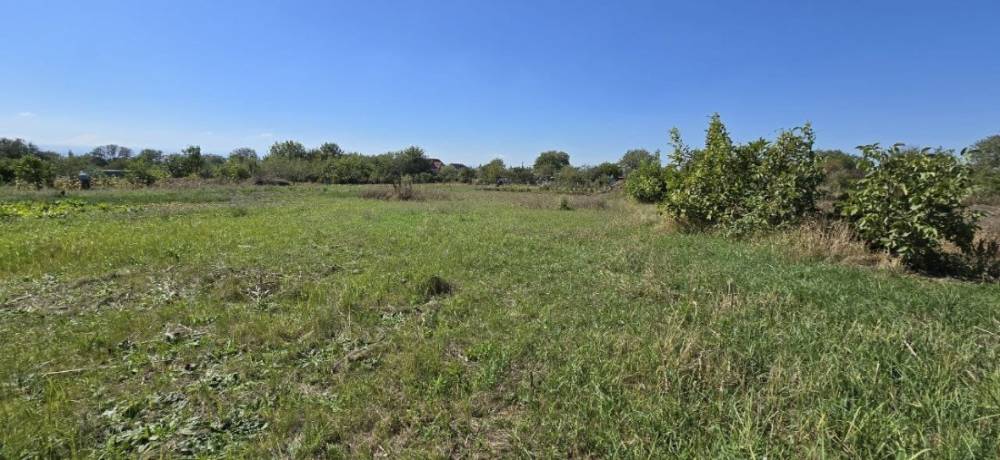 изображение whatsapp 2025-11-19 в 16.29.34_52752b39