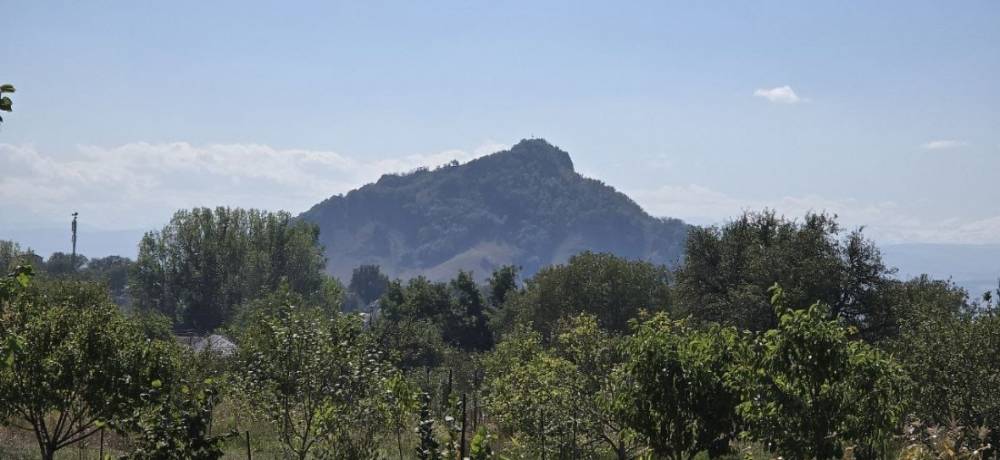 изображение whatsapp 2025-11-19 в 16.29.32_5bfe4cec