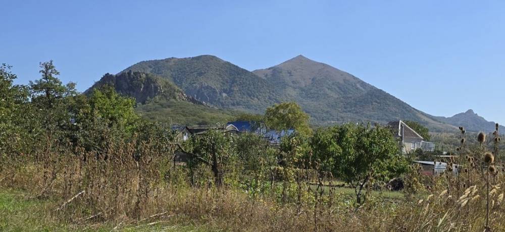 изображение whatsapp 2025-11-19 в 16.29.33_abd6b222